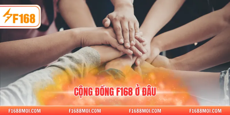 Cộng đồng người chơi F168