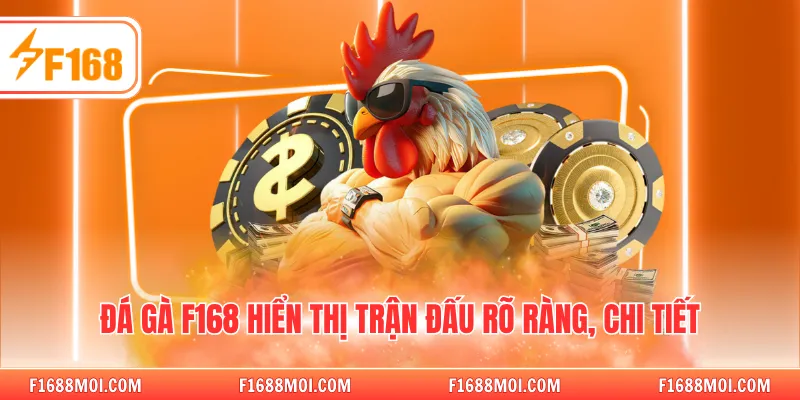 Đá gà F168 hiển thị trận đấu rõ ràng, chi tiết