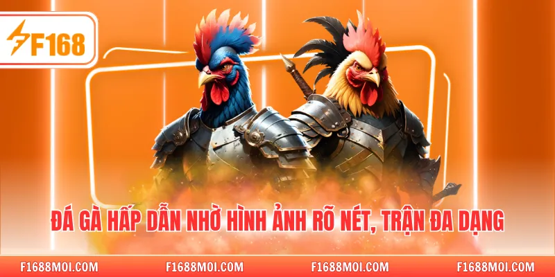 Đá gà hấp dẫn nhờ hình ảnh rõ nét, trận đa dạng