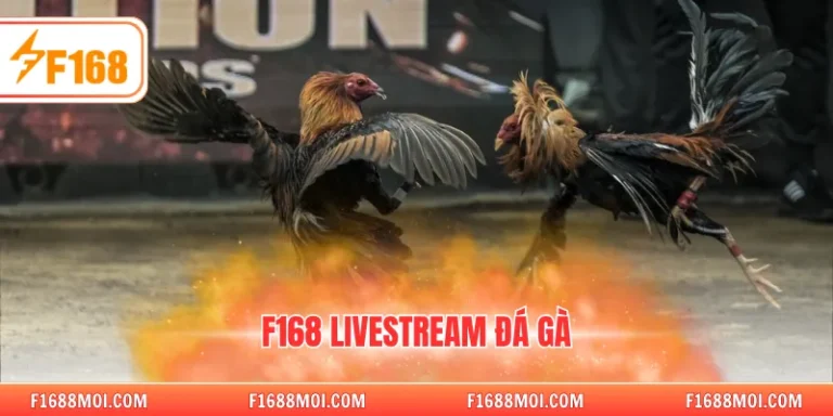 F168 livestream đá gà