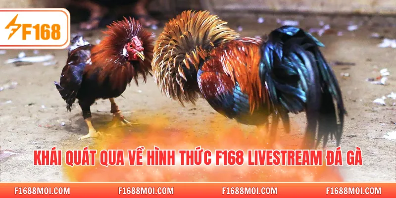 Khái quát qua về hình thức F168 livestream đá gà